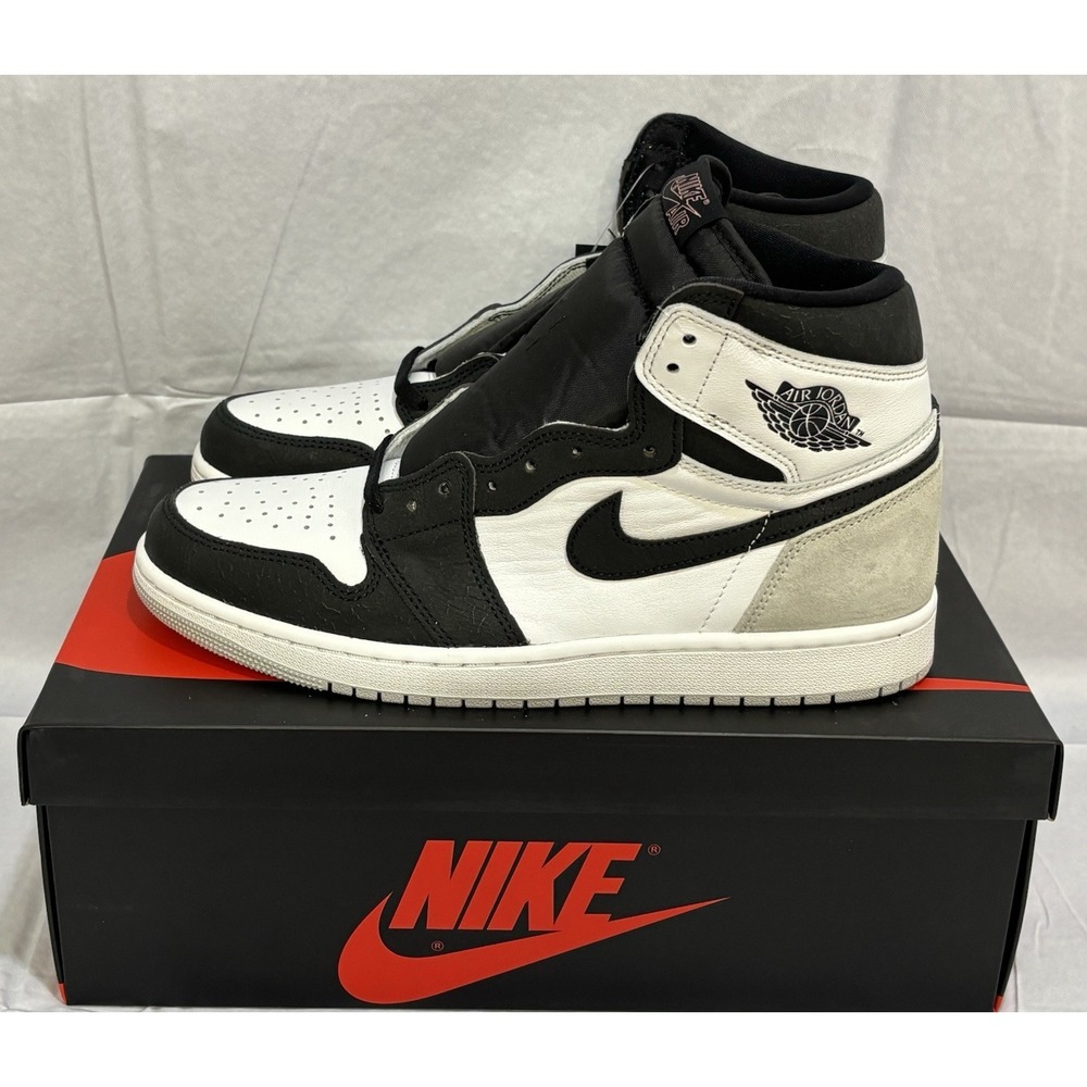 Nike Air Jordan‎ 1 Retro High OG Stage Haze Bleached Coral 555088-108 ISSUES New